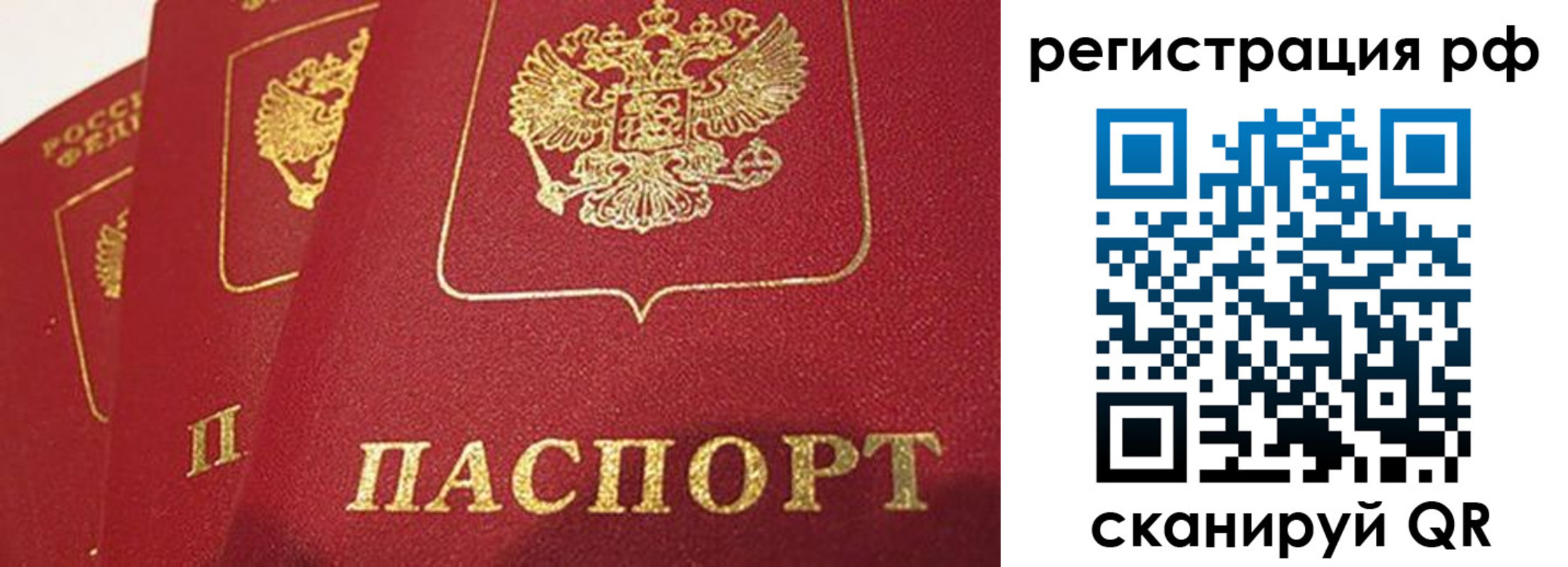 прописка в квартире в Вологодской области